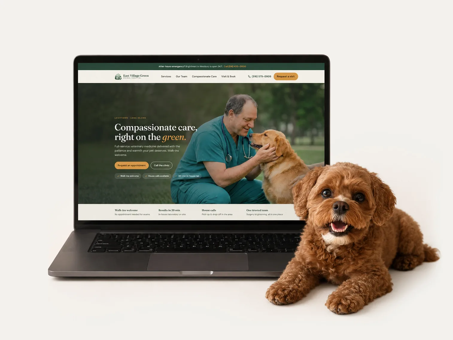 East Village Green Animal Hospital redesign concept