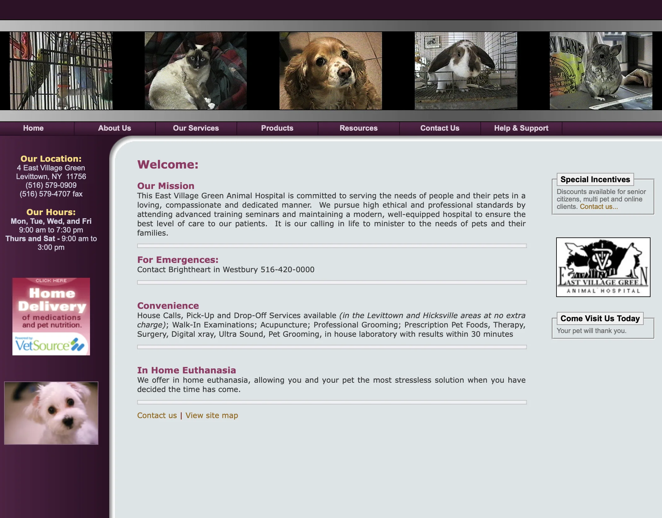 The original East Village Green Animal Hospital website
